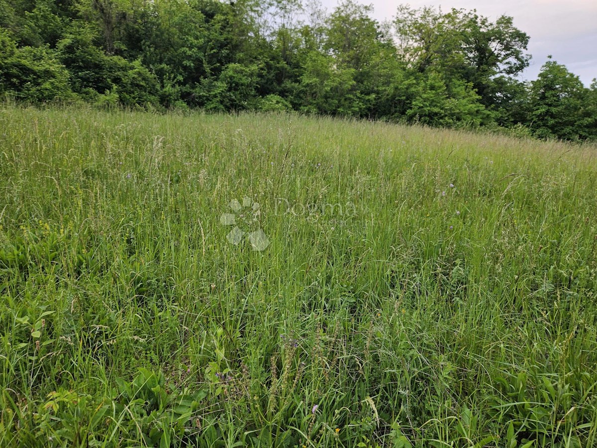 Terreno In vendita - ZAGREBAČKA BRDOVEC