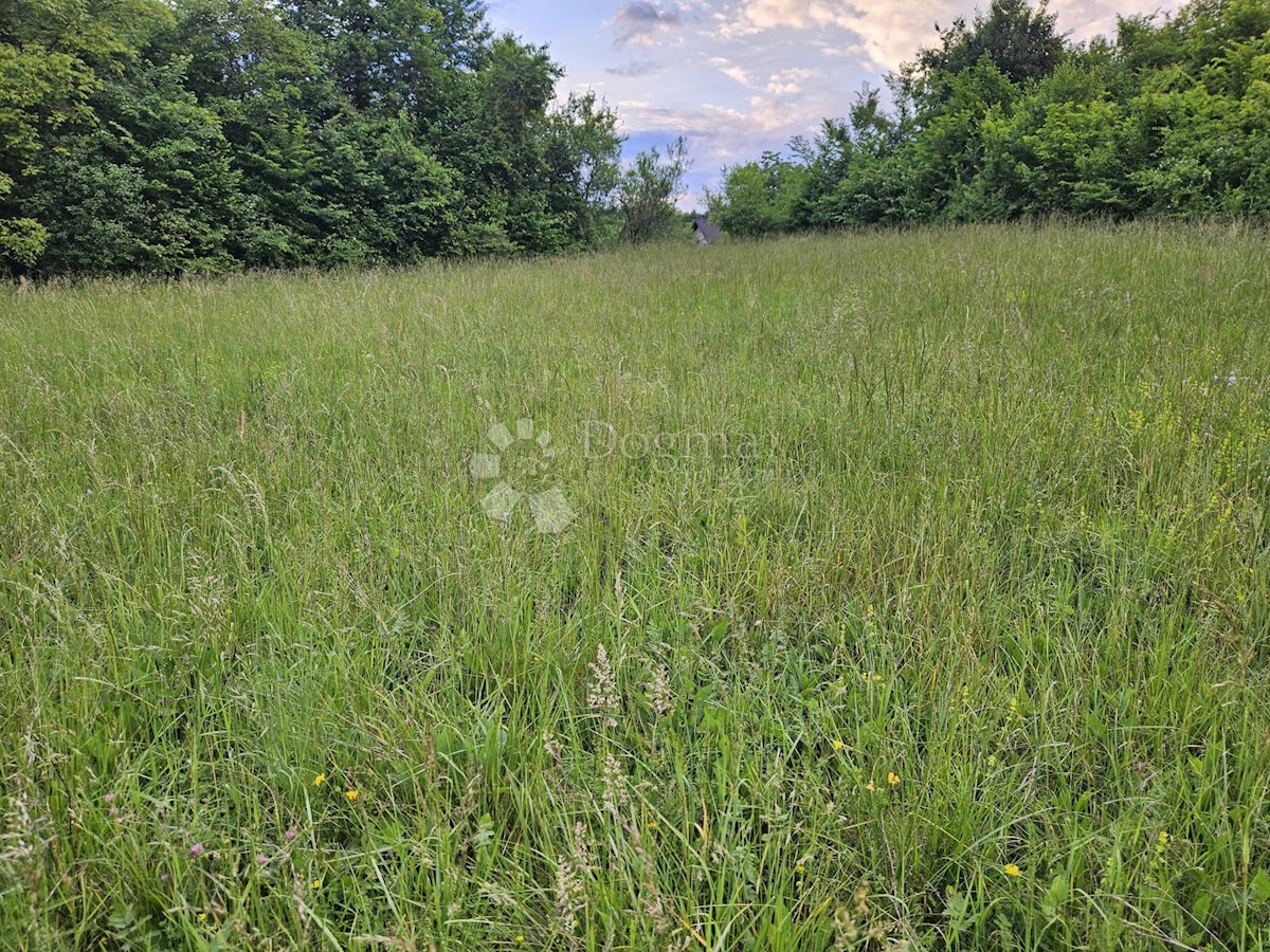 Land For sale - ZAGREBAČKA BRDOVEC