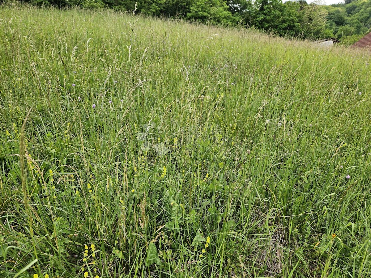 Terreno In vendita - ZAGREBAČKA BRDOVEC