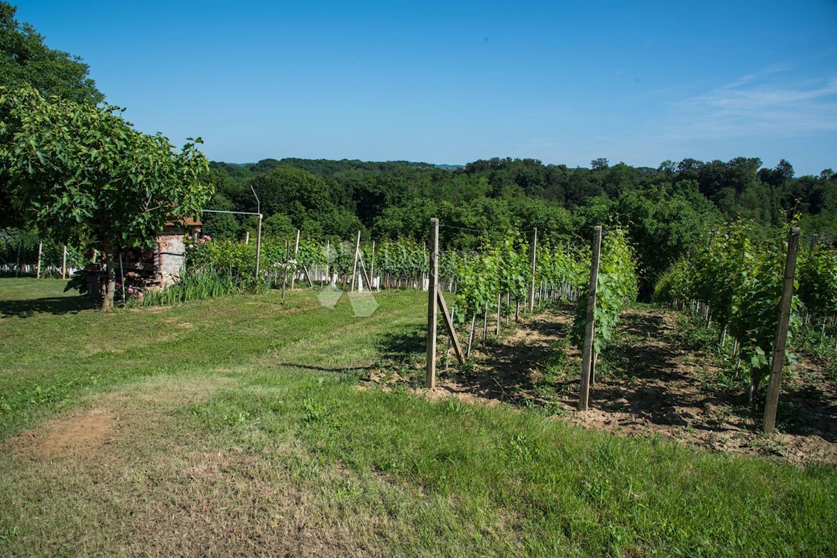 Casa In vendita - VARAŽDINSKA JALŽABET