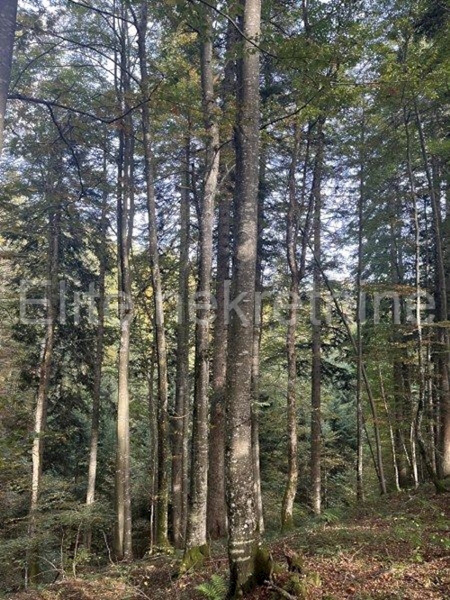 Land For sale - PRIMORSKO-GORANSKA MRKOPALJ