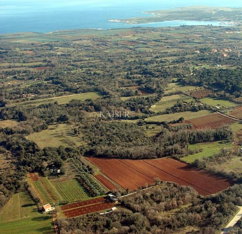 Pozemok na predaj 15942 m² – Ližnjan