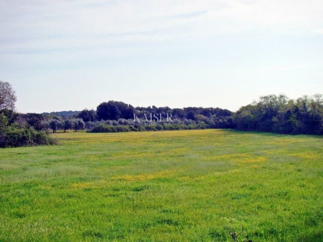 Pozemek Na prodej - Istarska Ližnjan - foto 2/13