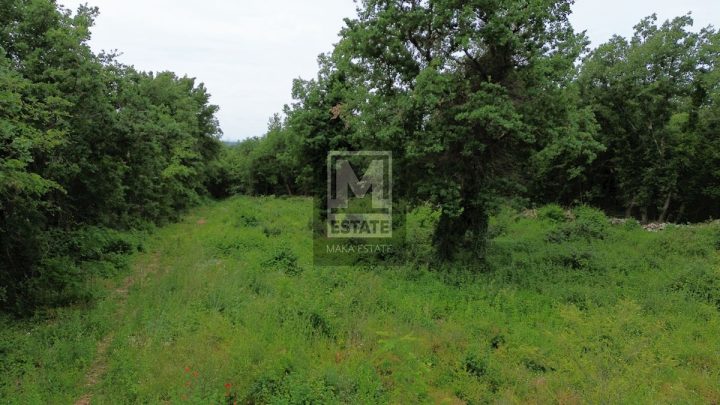 Terreno In vendita - Istarska Poreč - foto 4/4