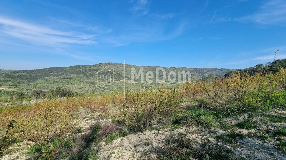 Land For sale - ISTARSKA MOTOVUN