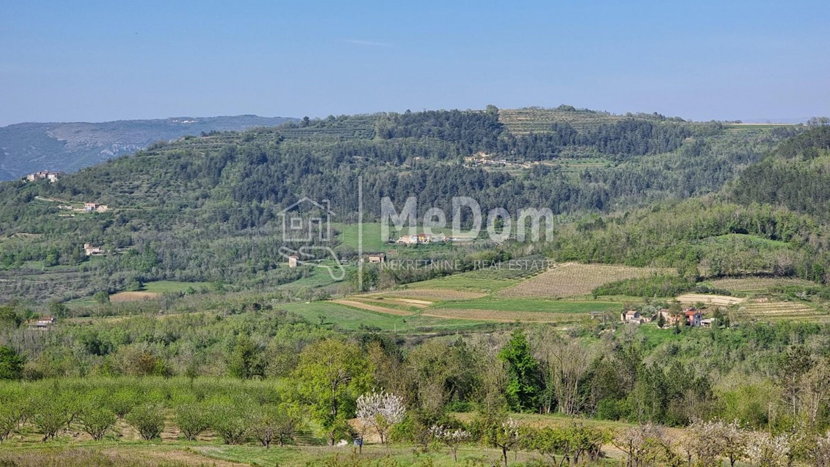 Land For sale - ISTARSKA MOTOVUN