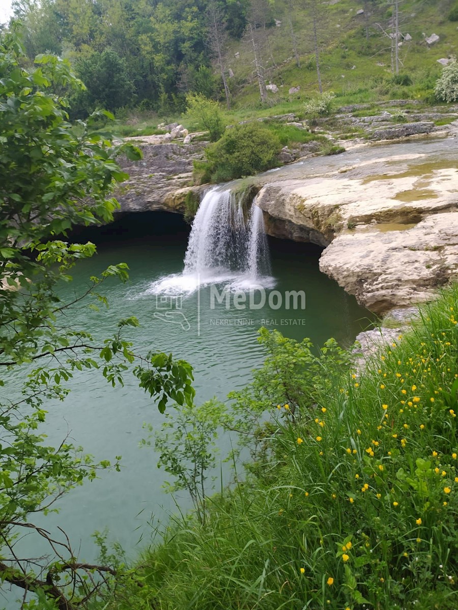 Dom Na predaj - ISTARSKA PAZIN