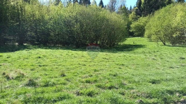 Land for sale 17642 m² – Sunger