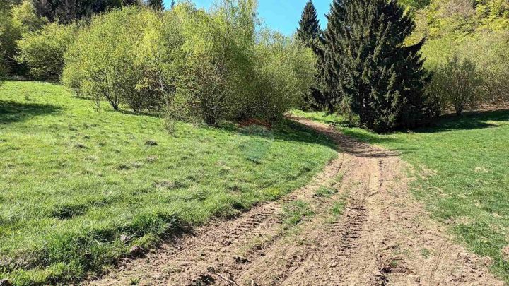 Parcela Naprodaj - Primorsko-goranska Mrkopalj - foto 2/10