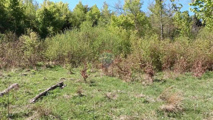 Parcela Naprodaj - Primorsko-goranska Mrkopalj - foto 4/10