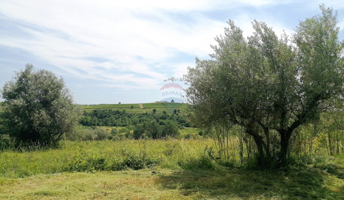 Zemljište Na prodaju - ISTARSKA BUJE