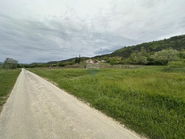 Land for sale 2618 m² – Gologorički Dol