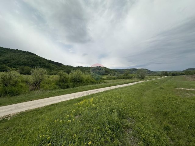 Parcela Naprodaj - Istarska Cerovlje - foto 3/5