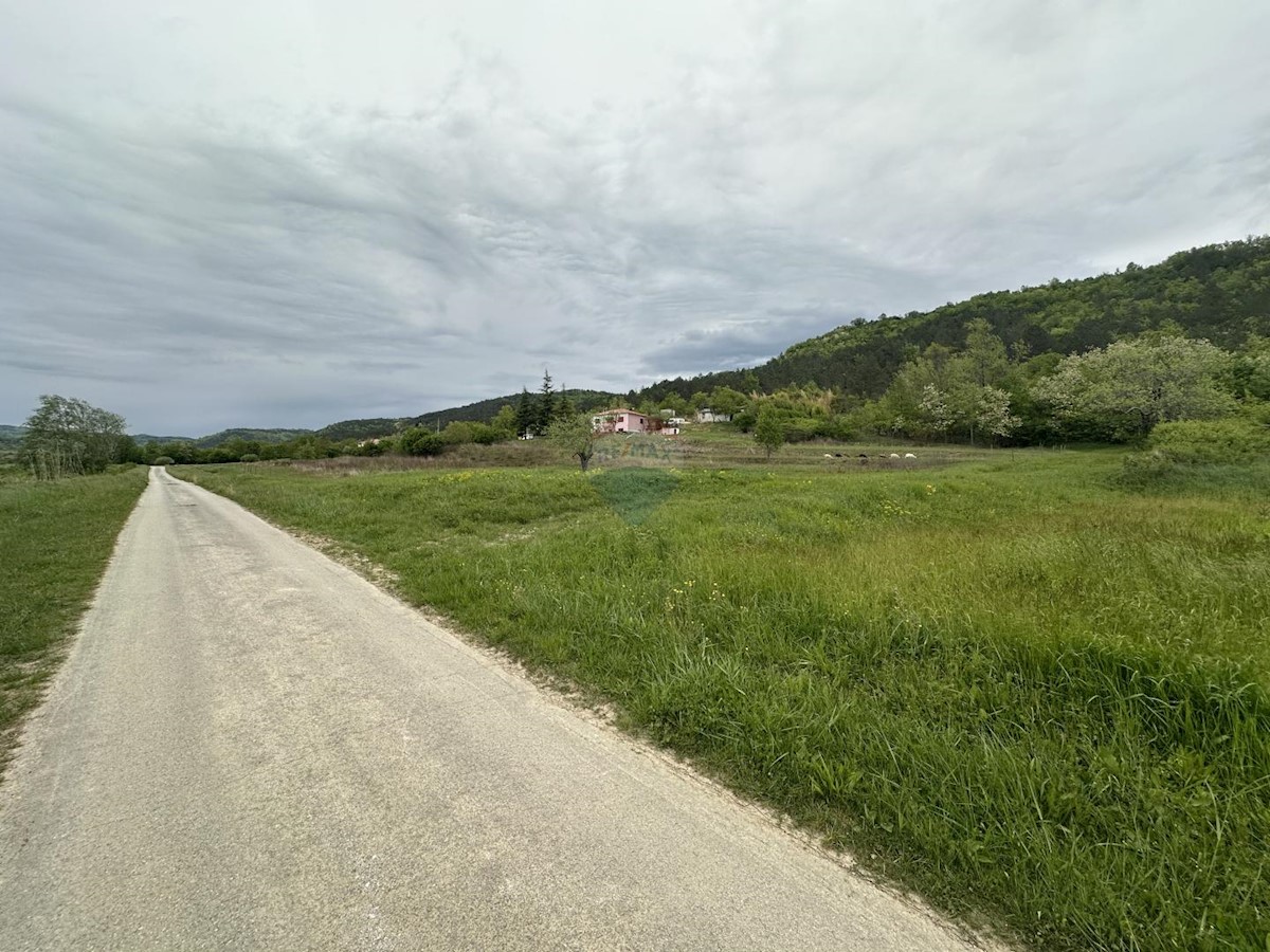 Land For sale GOLOGORIČKI DOL