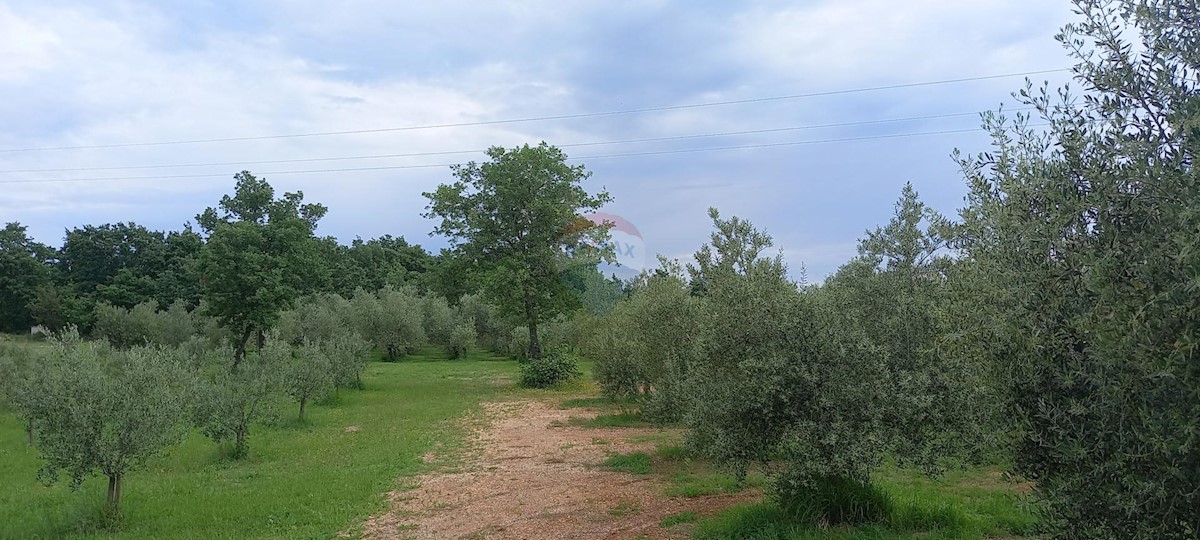 Terreno In vendita - ISTARSKA VODNJAN