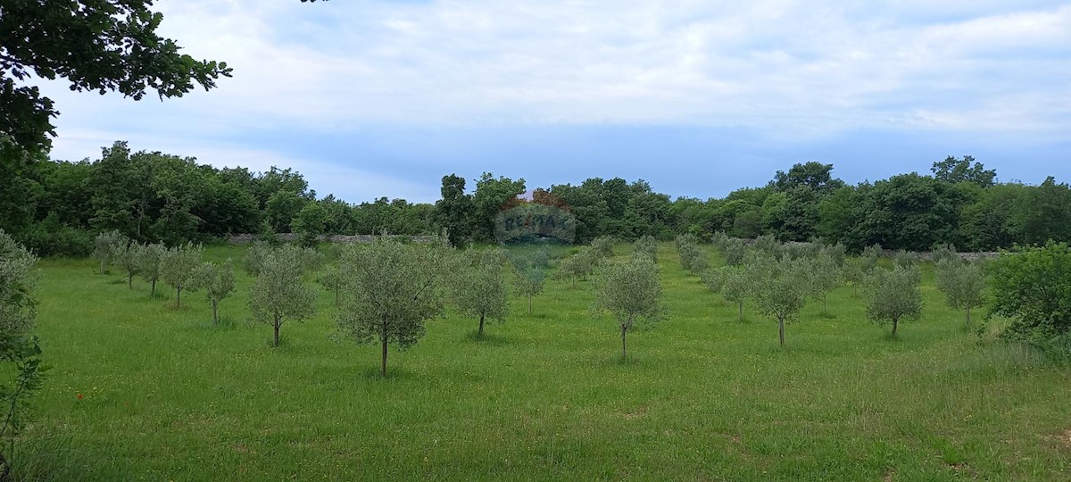 Terreno In vendita - ISTARSKA VODNJAN