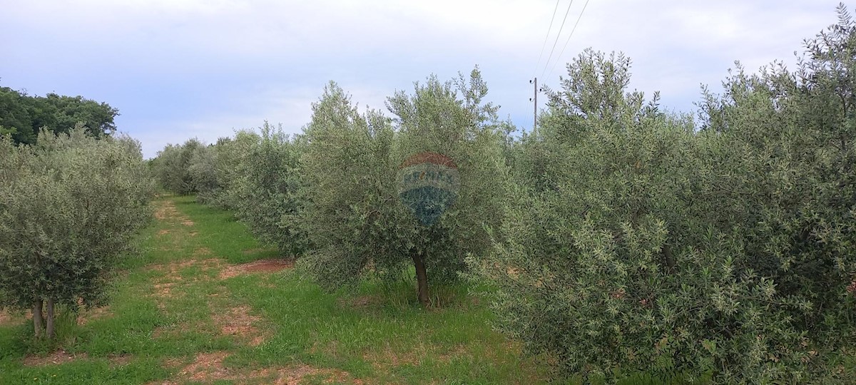 Terreno In vendita - ISTARSKA VODNJAN