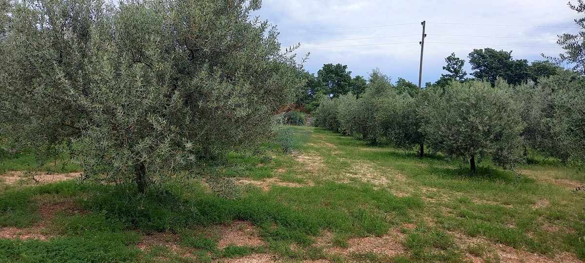 Terreno In vendita - ISTARSKA VODNJAN