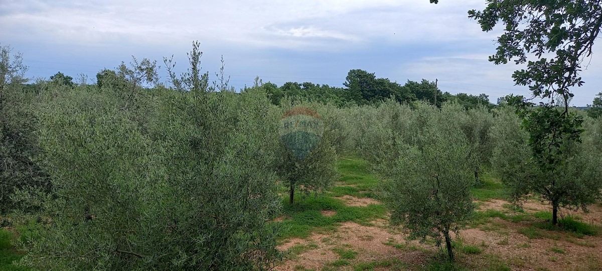Terreno In vendita - ISTARSKA VODNJAN