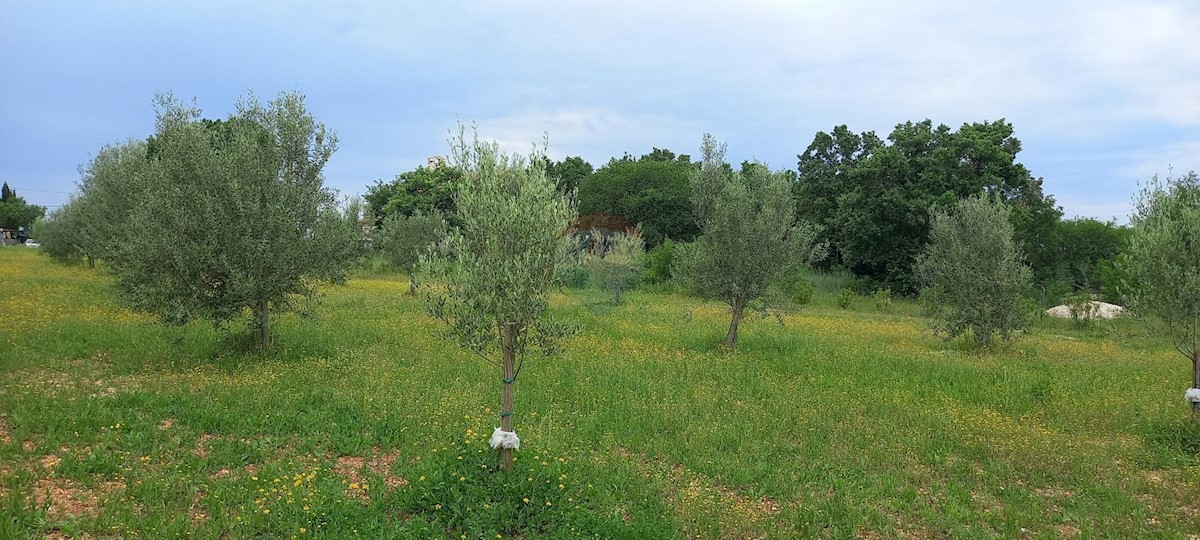 Terreno In vendita - ISTARSKA VODNJAN