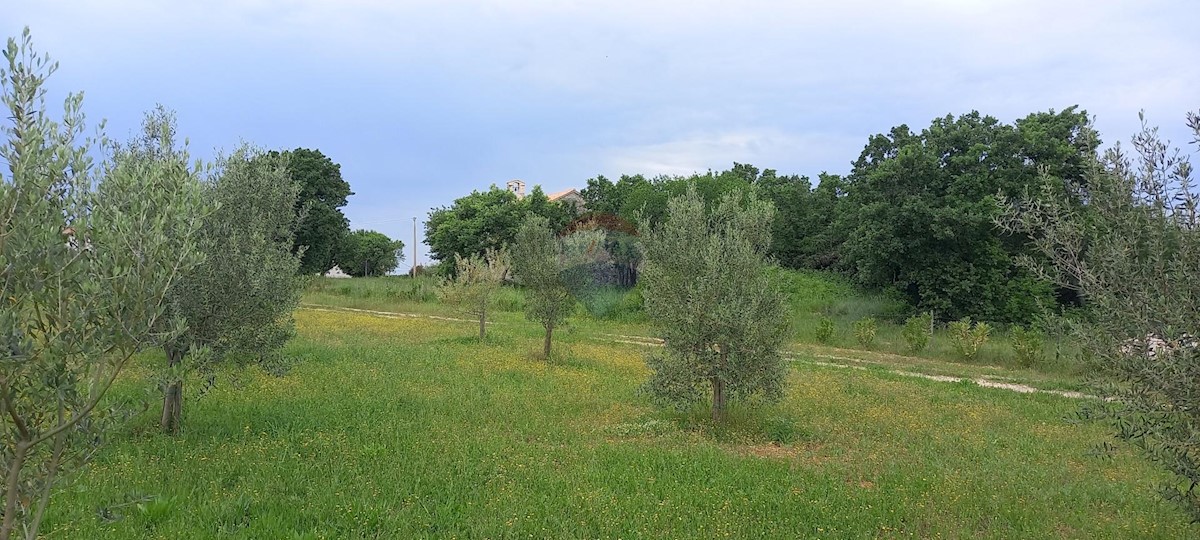 Terreno In vendita - ISTARSKA VODNJAN
