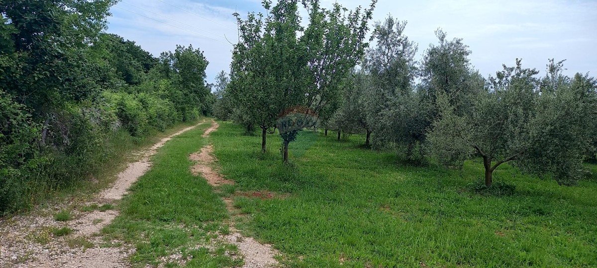 Terreno In vendita - ISTARSKA VODNJAN