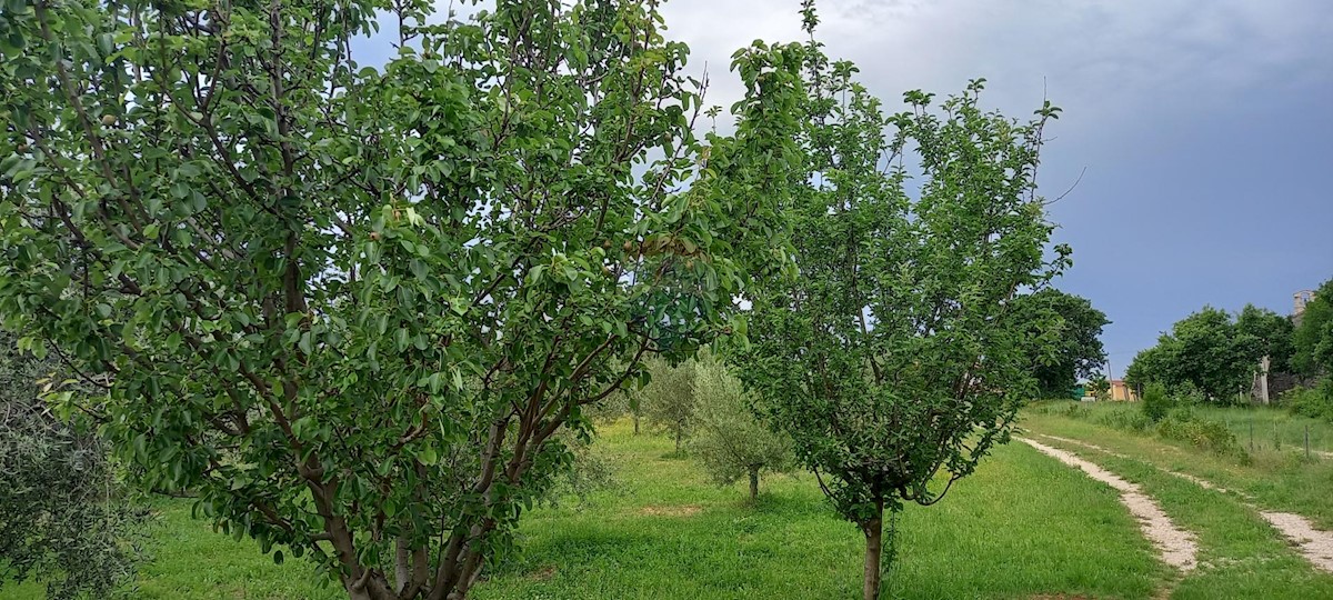 Terreno In vendita - ISTARSKA VODNJAN