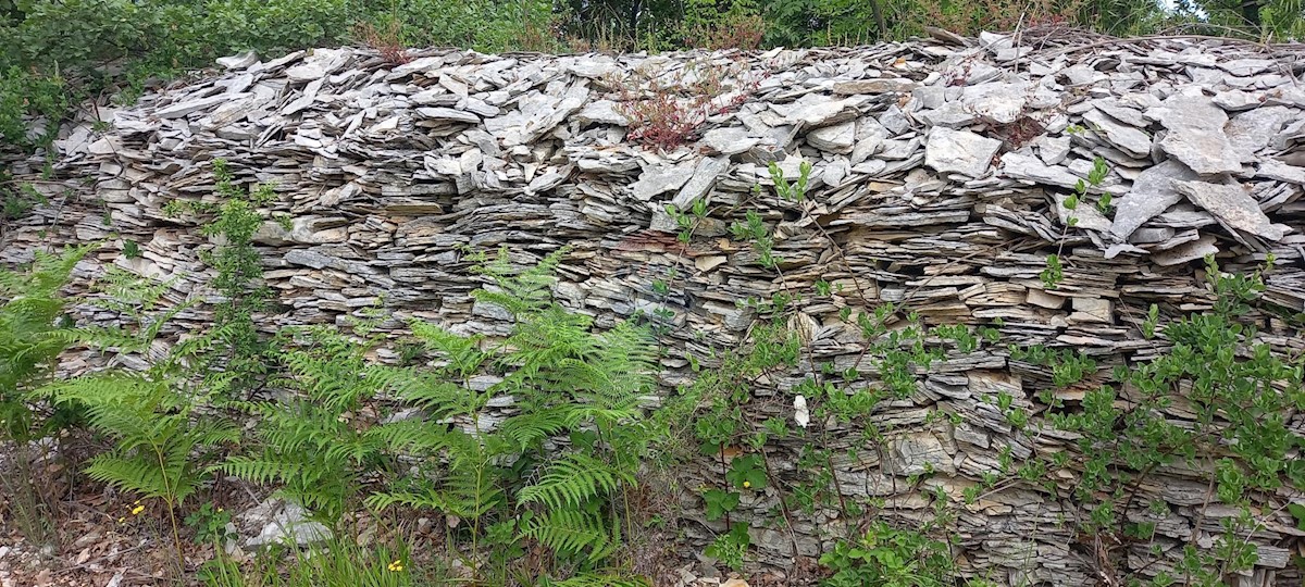 Terreno In vendita - ISTARSKA VODNJAN