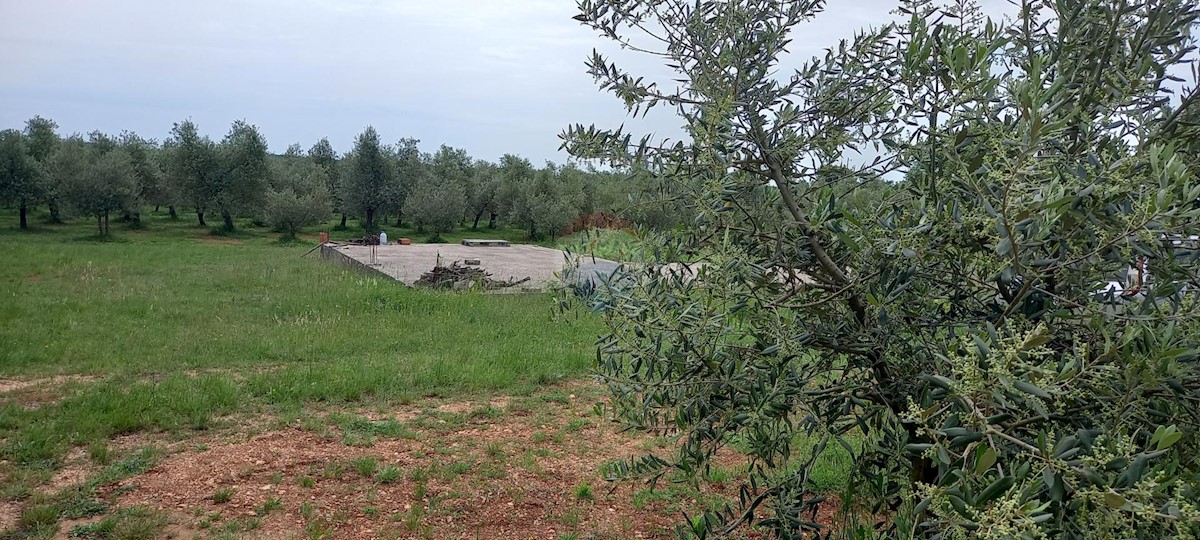 Terreno In vendita - ISTARSKA VODNJAN
