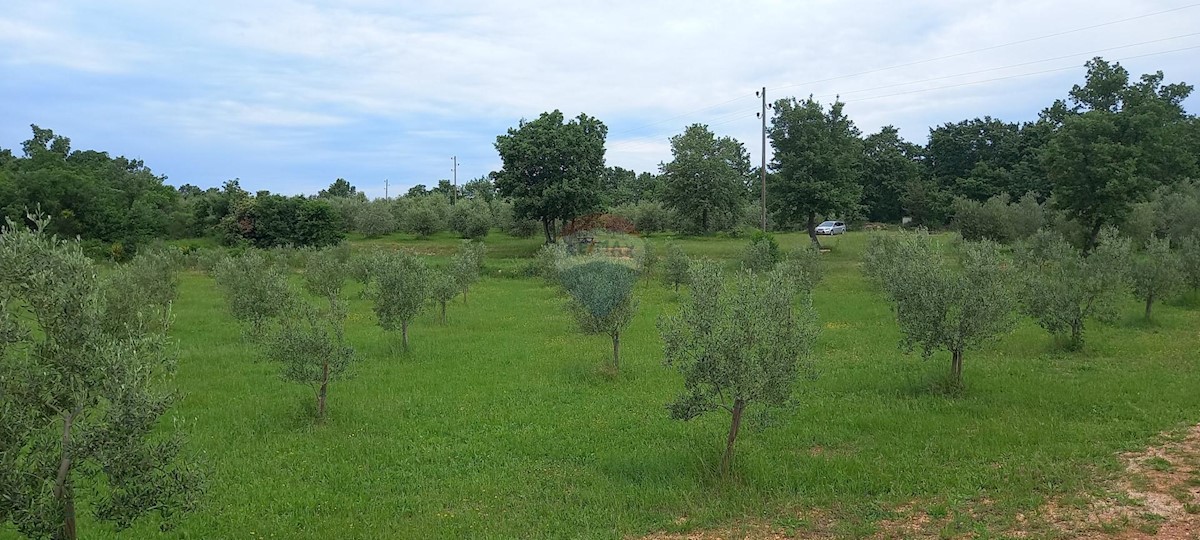 Terreno In vendita - ISTARSKA VODNJAN