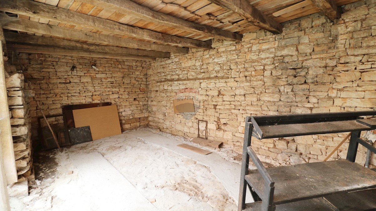 House For sale - ISTARSKA TINJAN