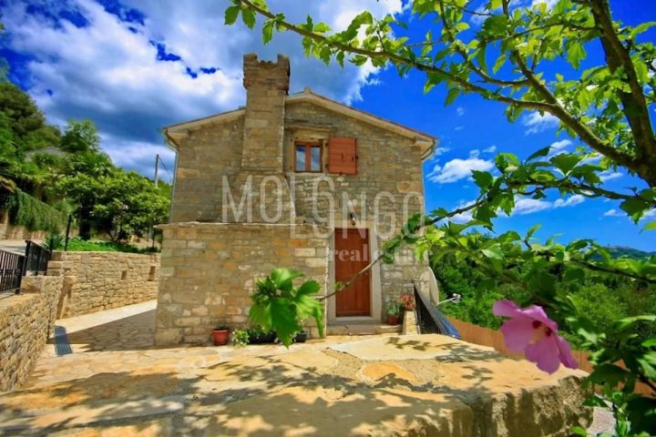 House For sale - Istarska Oprtalj - foto 3/25