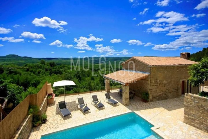 House For sale - Istarska Oprtalj - foto 4/25