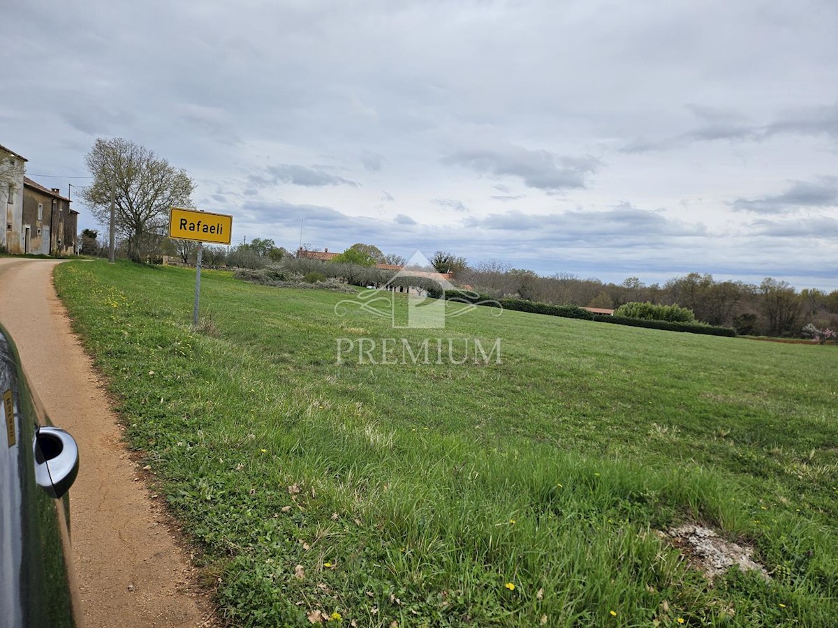 Land For sale - ISTARSKA VIŠNJAN