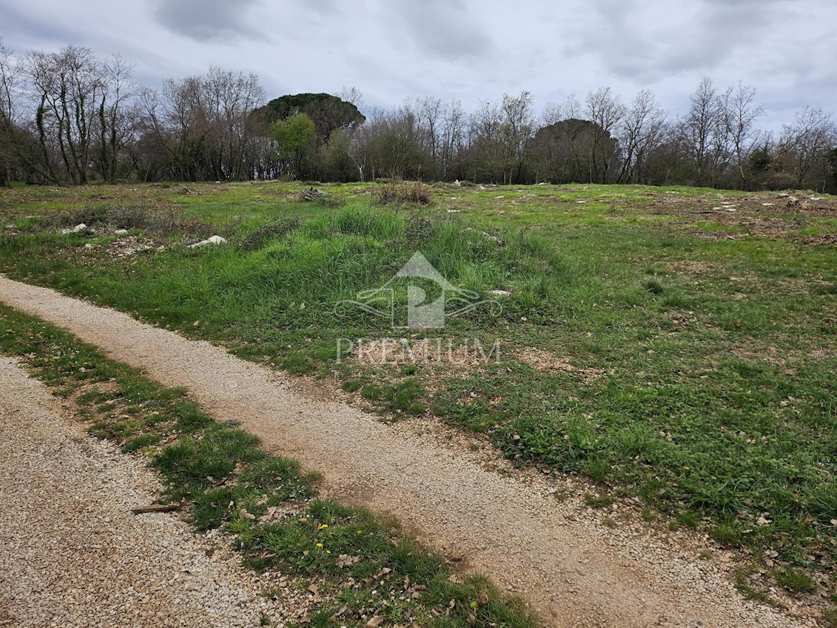 Land For sale - ISTARSKA VIŠNJAN