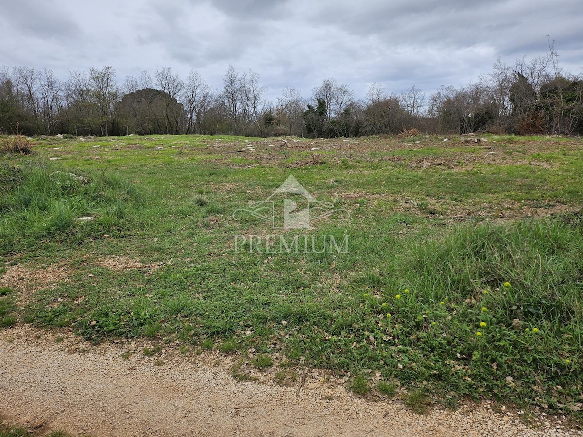 Land For sale - ISTARSKA VIŠNJAN