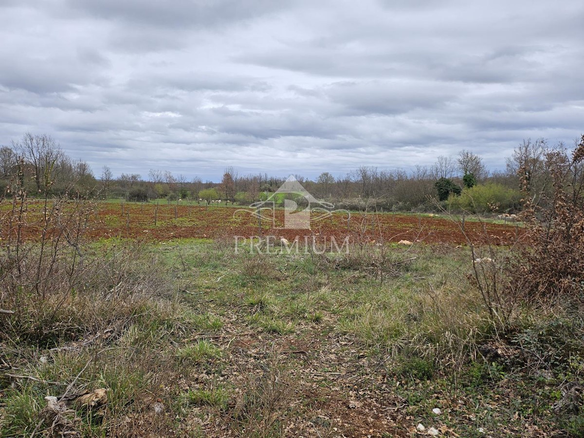 Land For sale - ISTARSKA VIŠNJAN