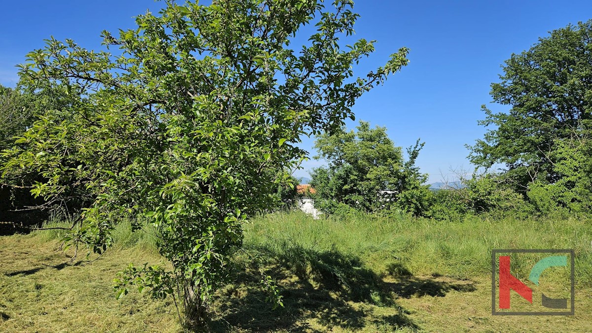 Haus Zu verkaufen - ISTARSKA BARBAN