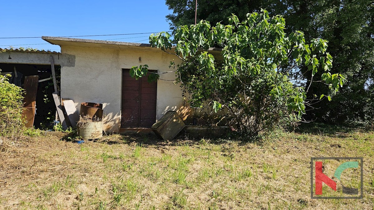 Haus Zu verkaufen - ISTARSKA BARBAN