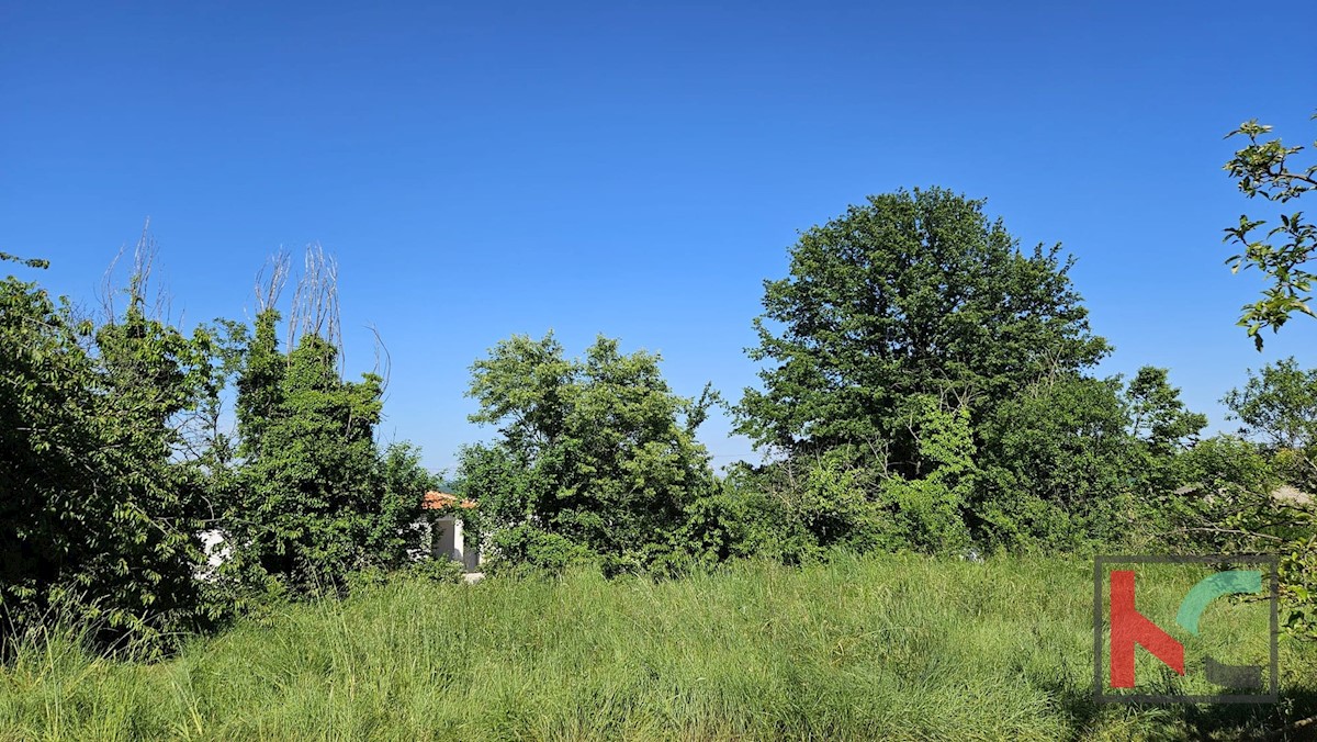 Haus Zu verkaufen - ISTARSKA BARBAN