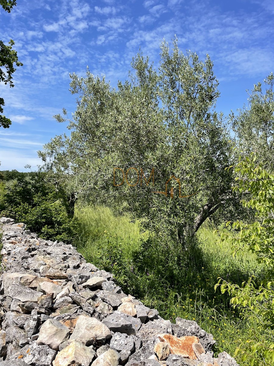 Land For sale - ISTARSKA MARČANA