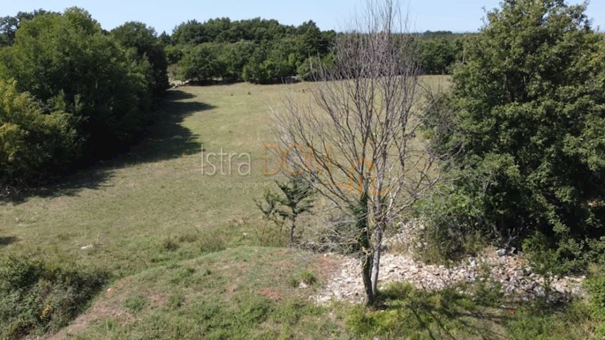 Land For sale - ISTARSKA SVETVINČENAT