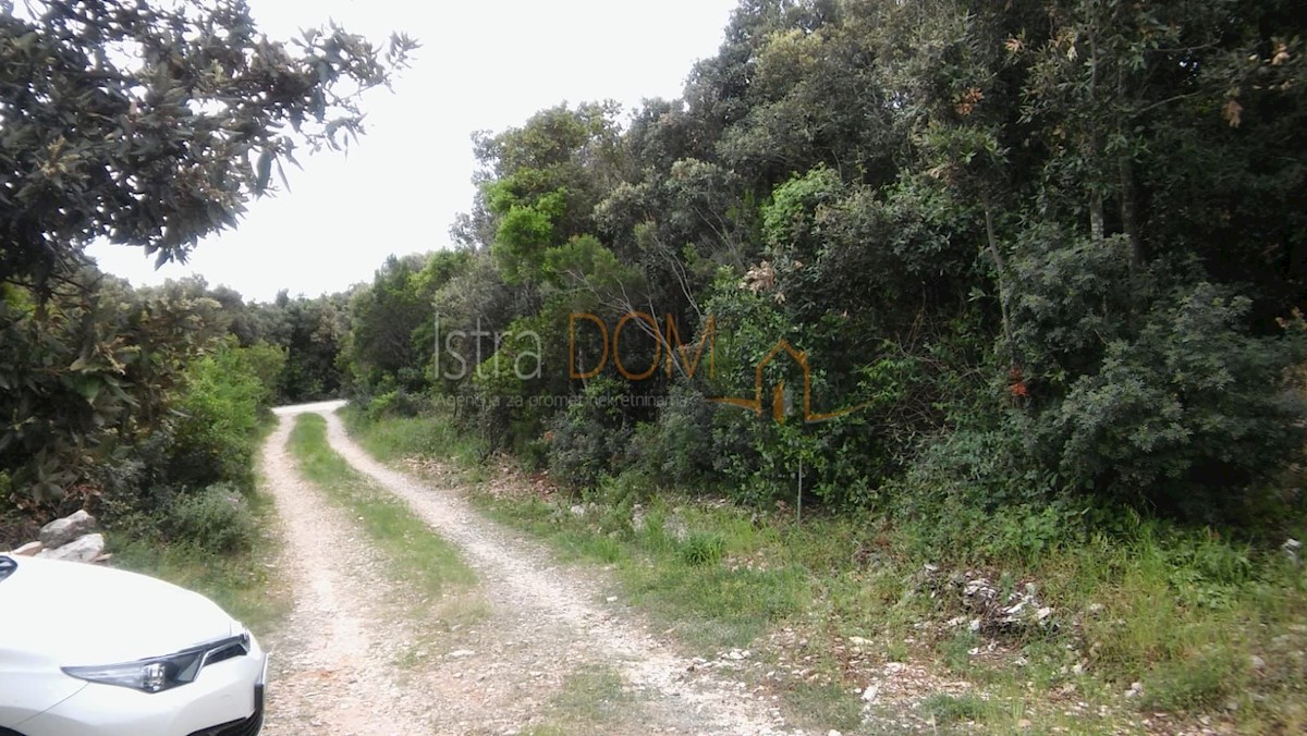 Land For sale - ISTARSKA MARČANA