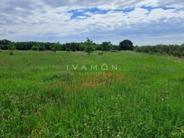 Pozemek na prodej 6000 m² – Poreč