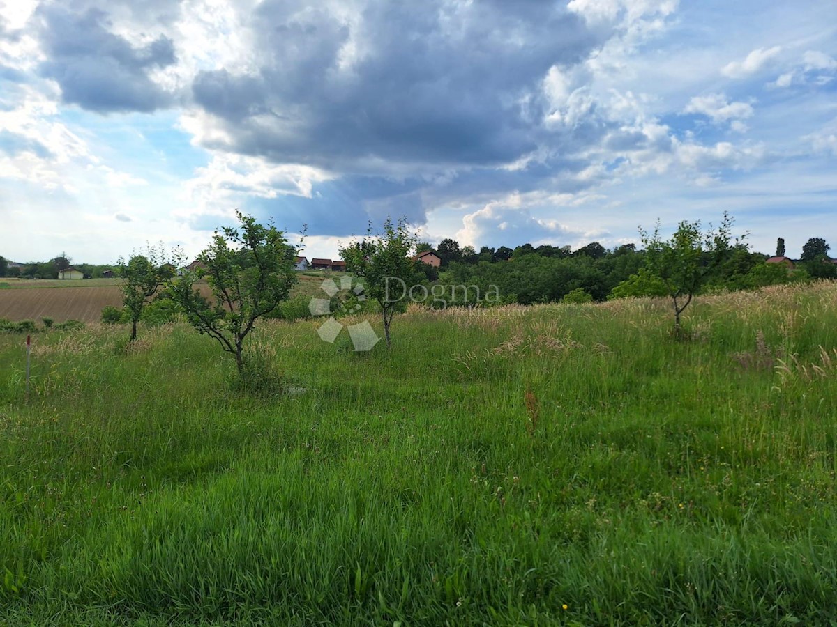 Pozemok Na predaj - MEĐIMURSKA GORNJI MIHALJEVEC