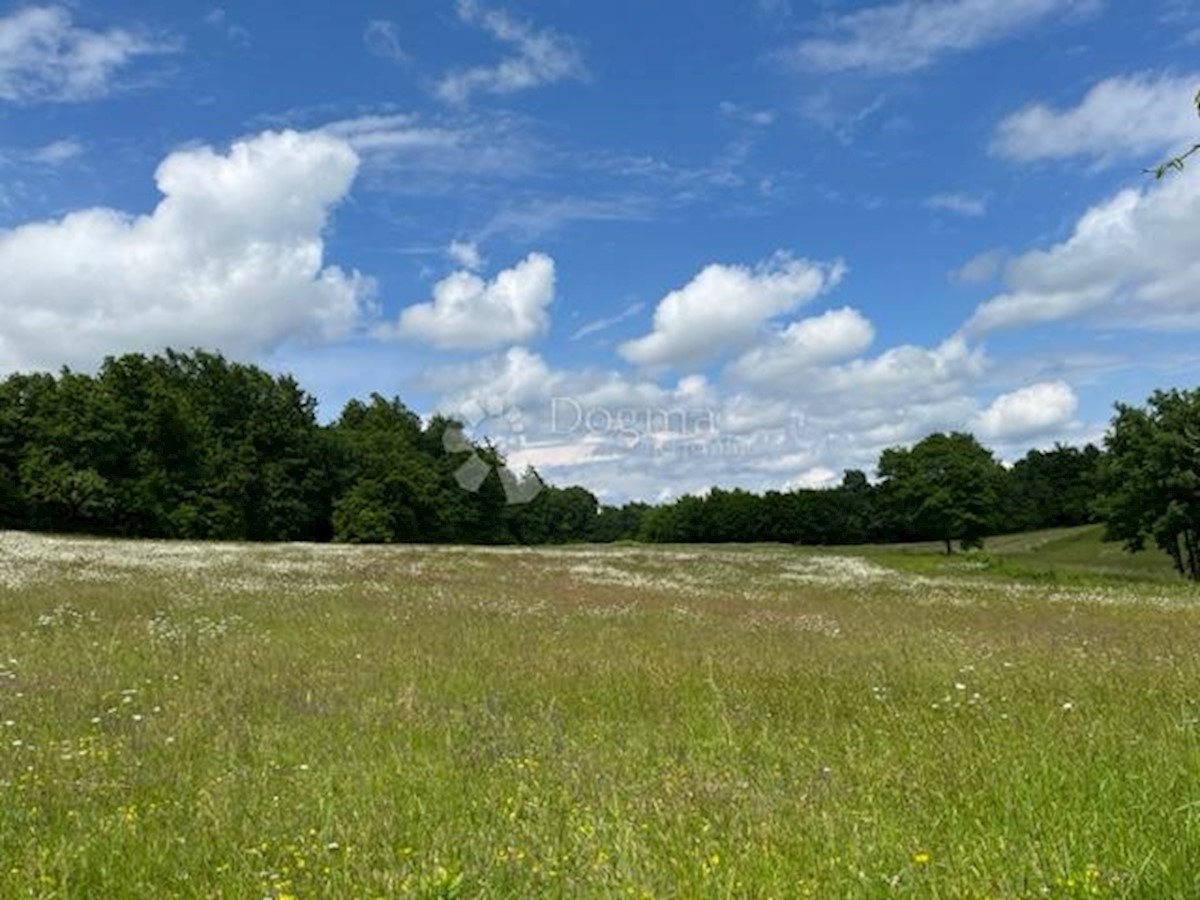 Dom Na sprzedaż - ISTARSKA BARBAN