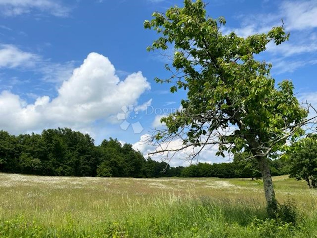 Dom Na sprzedaż - ISTARSKA BARBAN