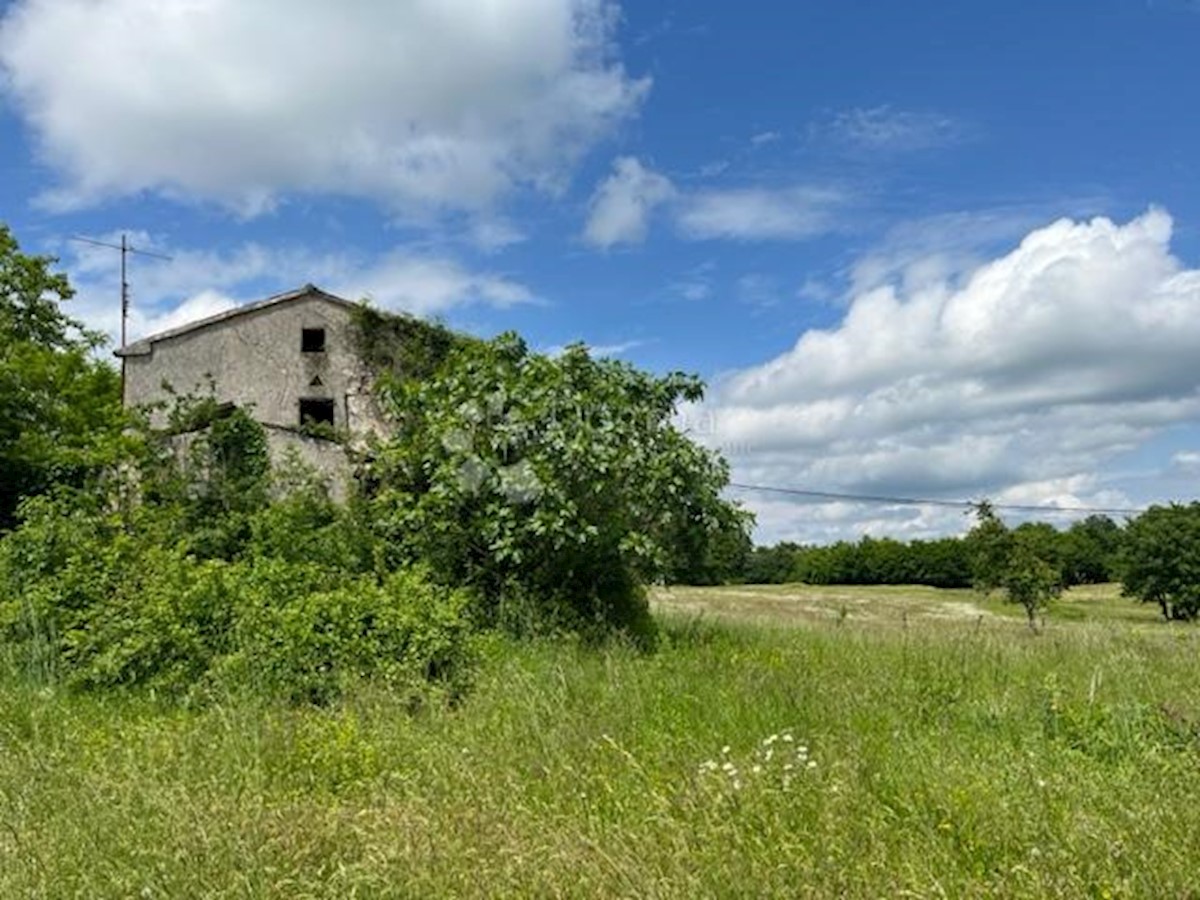 Dom Na sprzedaż - ISTARSKA BARBAN