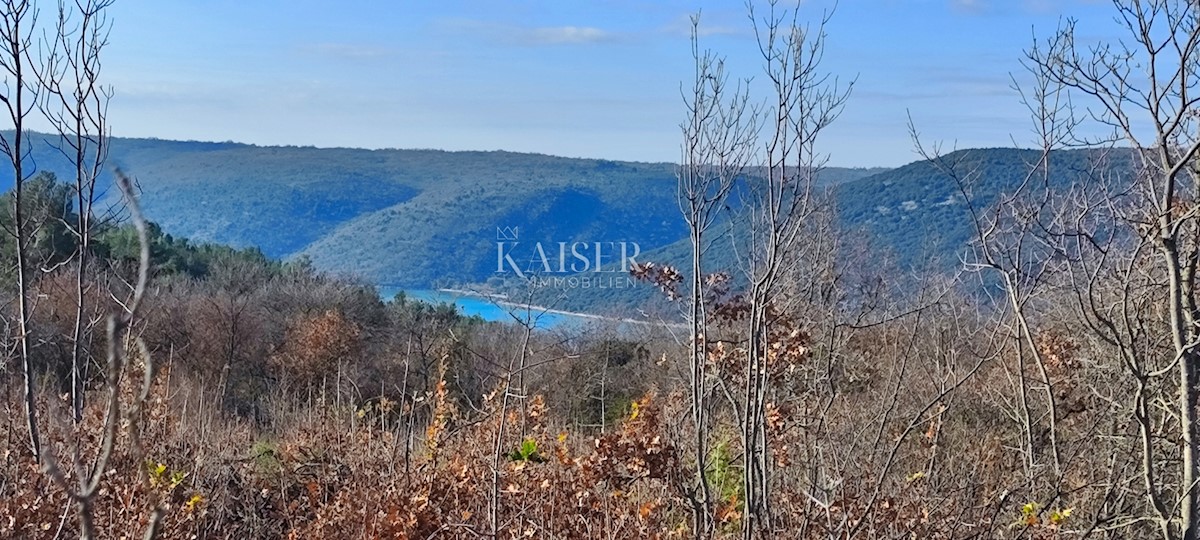 Pozemok Na predaj - ISTARSKA RAŠA