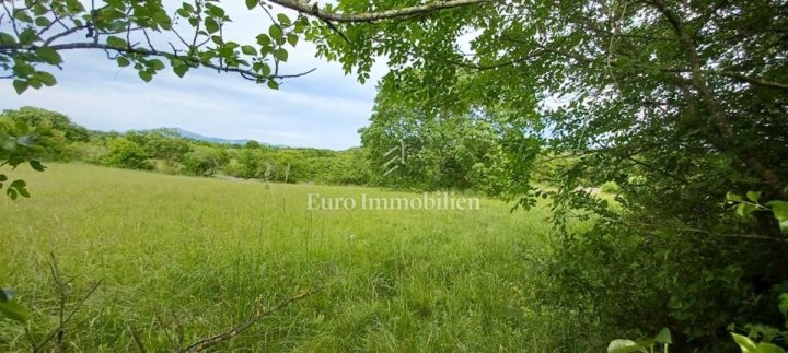 Terrain à vendre 1018 m² – Labin